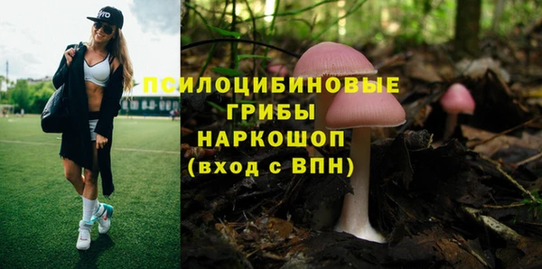 прущий лед Аркадак