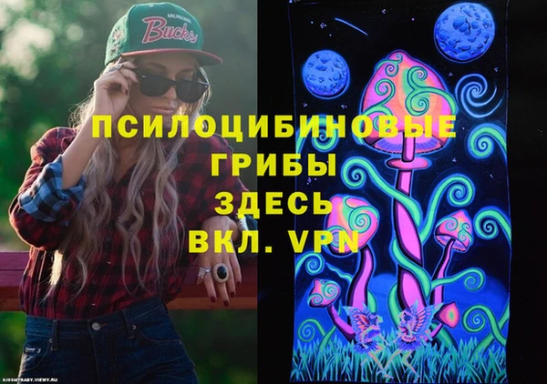 прущий лед Аркадак